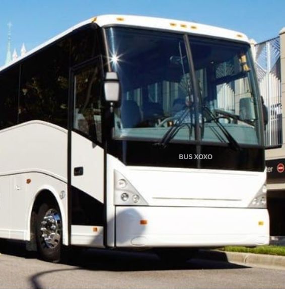Island Charter Buses Are Perfect for Your Group Trip