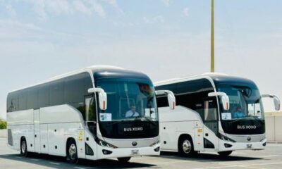 Luxury Motor Coaches