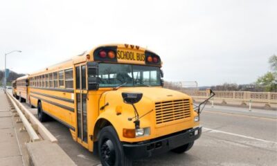 School Buses