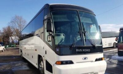 Standard Coach Buses