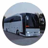 Standard Charter Buses