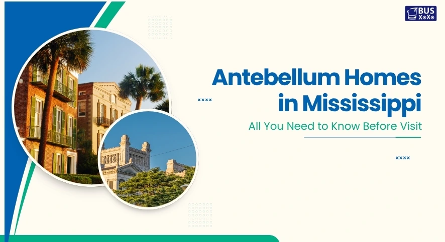 Antebellum Homes in Mississippi /blog