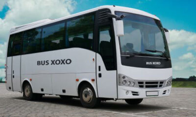 BUS-XOXO-2