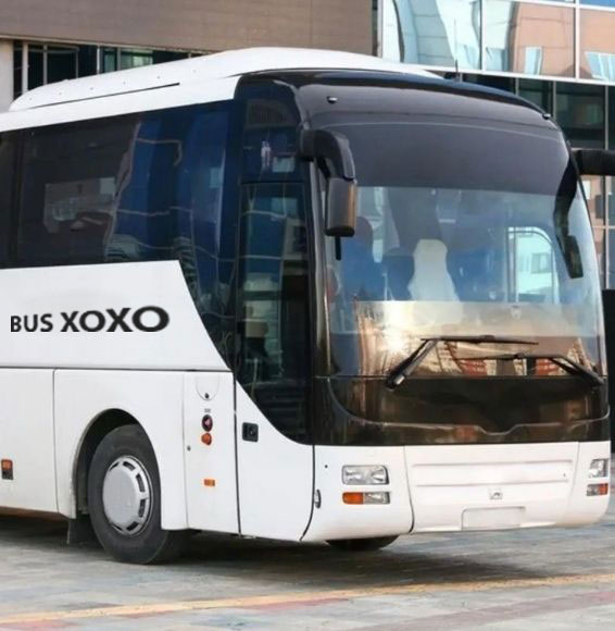 Charter-Buses-Are-Perfect-for-Your-Next-Trip-1