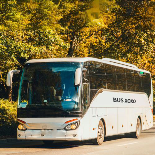 Full-Size-Charter-Bus-56-Passenger-Bus
