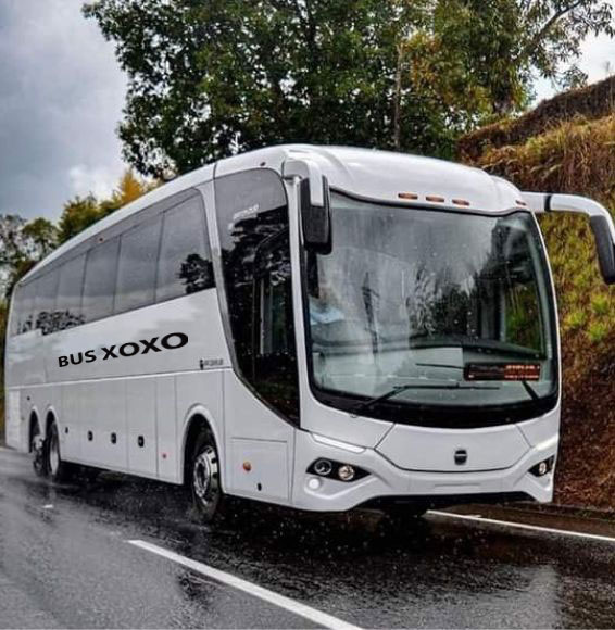 Jersey-Charter-Bus-Rental-is-Perfect-for-Your-Group1