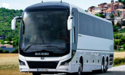 Standard-Coach-Buses-22