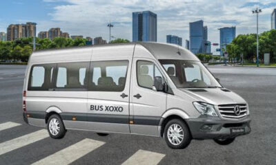 Standard-Coach-Buses-25