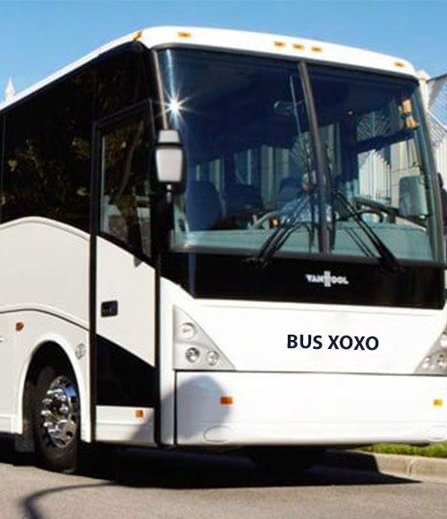 Your-Trusted-Solution-for-Safe-and-Reliable-Group-Transportation1