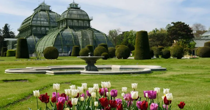 The American Rose Center