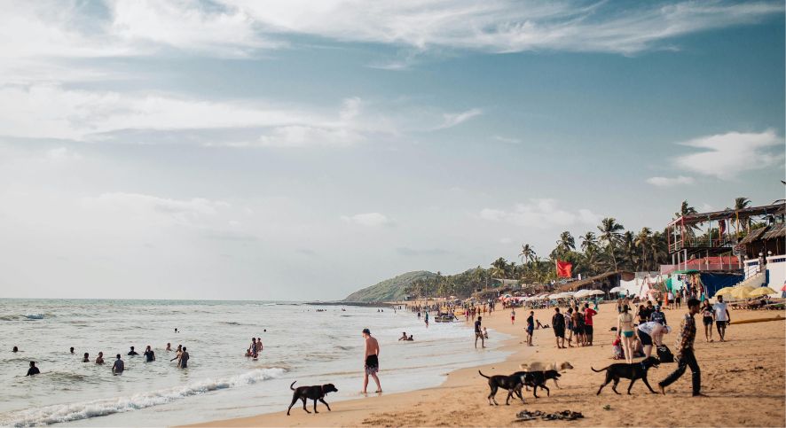 Grayton Beach State Park