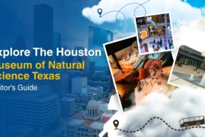 Houston museum of natural science
