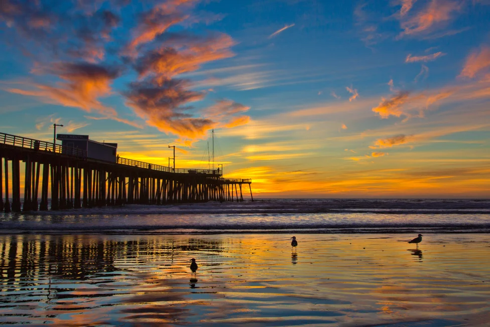 Best Beaches to Visit in California