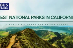 Best National Parks in California 9 Must-Visit Parks for Nature Lovers
