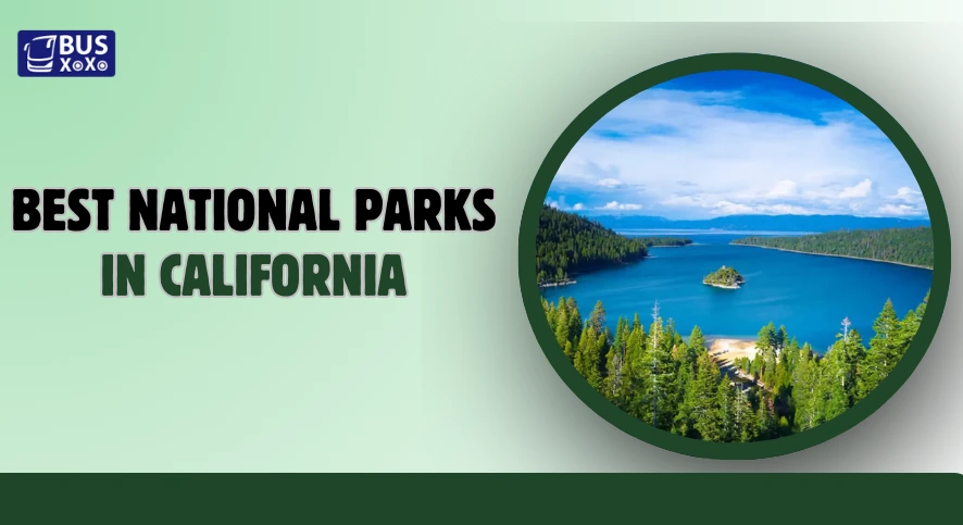 Best National Parks in California