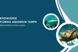 Florida aquarium tampa