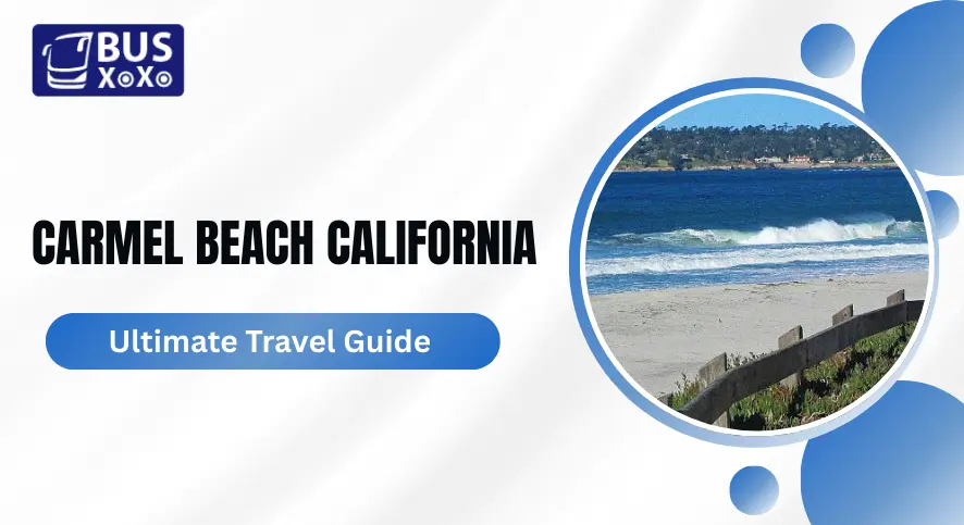 Carmel Beach California Ultimate Travel Guide 2025