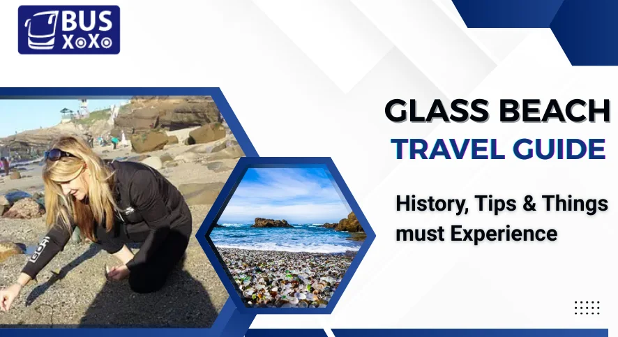 Glass Beach Travel Guide: History, Tips & Things must Experience