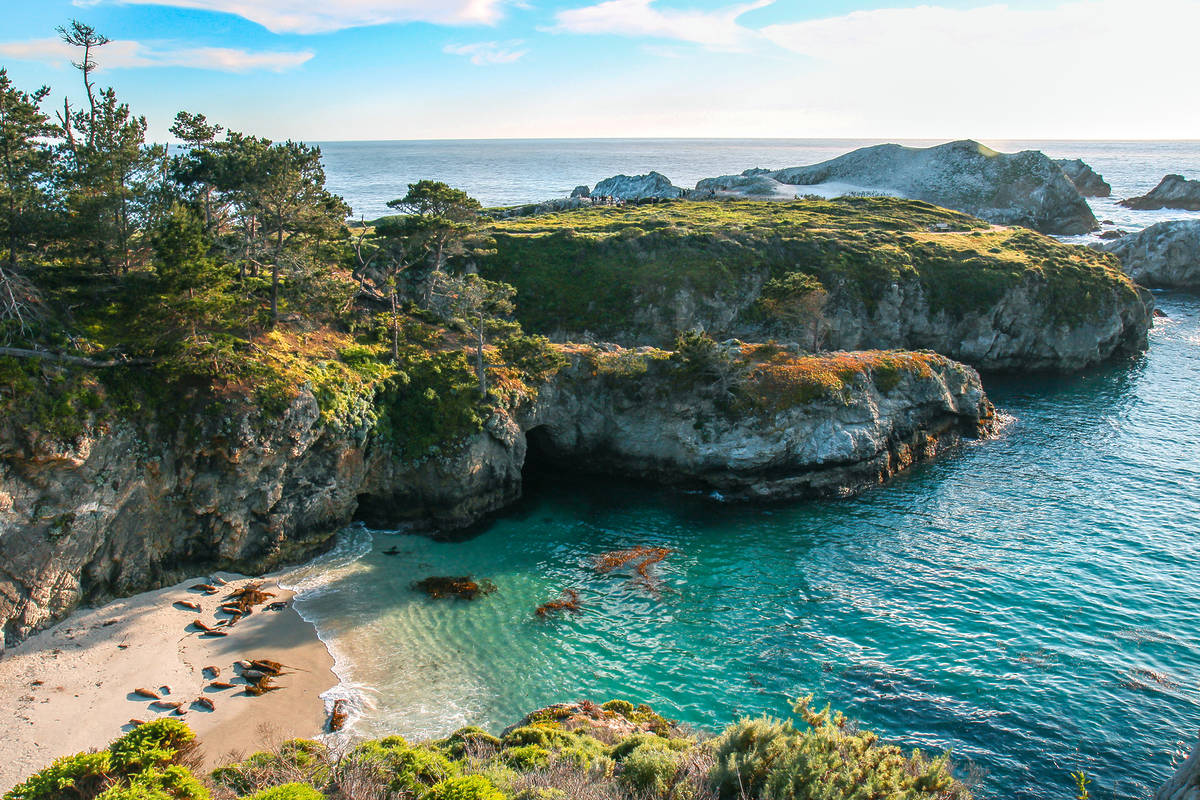 Point Lobos State Natural Reserve