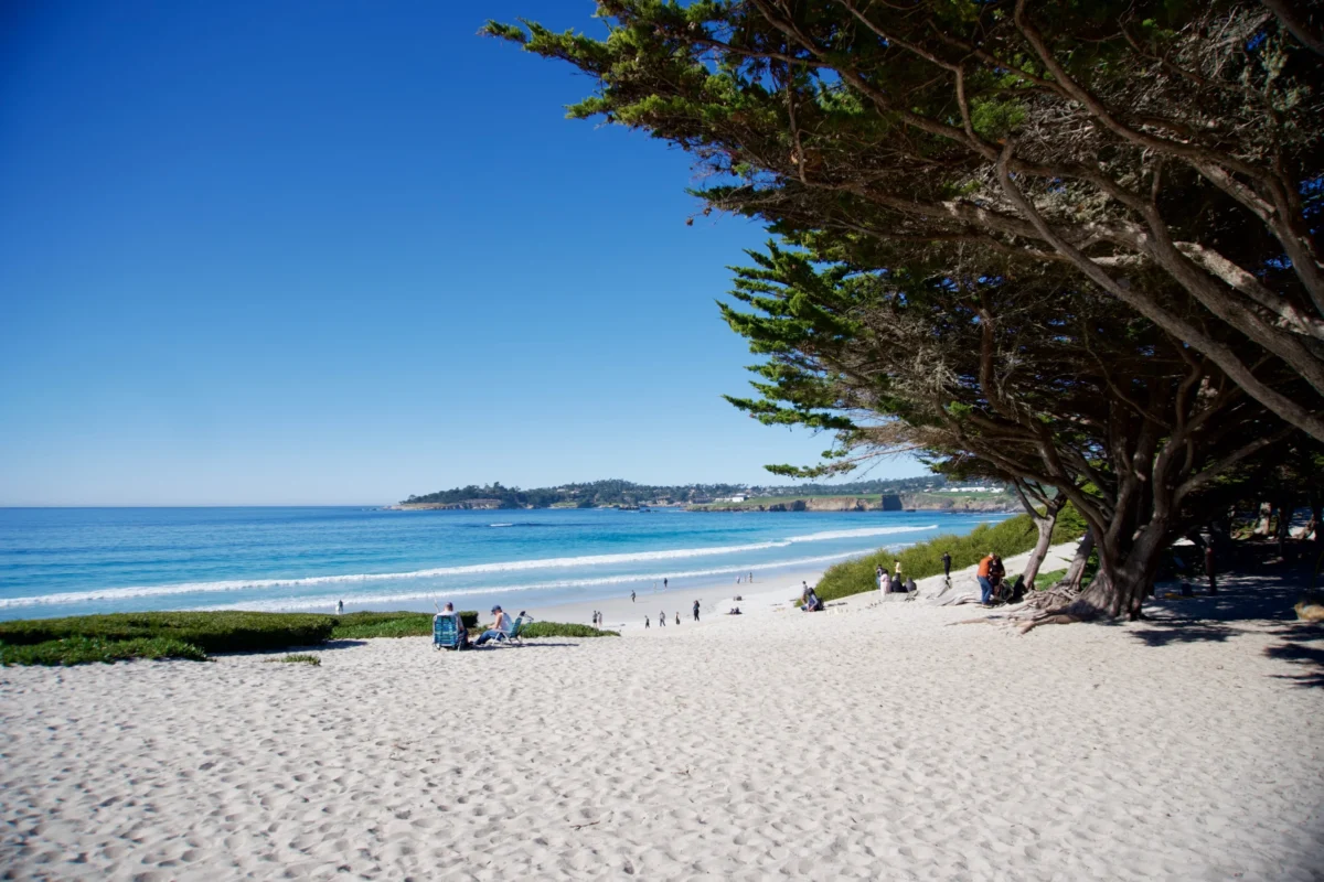Carmel Beach , California