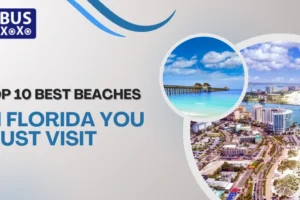 Top 10 Best Beaches in Florida You Must Visit