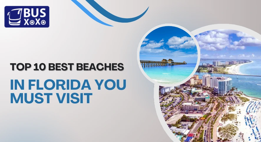 Top 10 Best Beaches in Florida You Must Visit