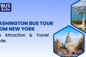 Washington Bus Tour From New York