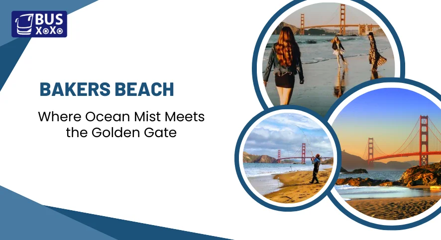Bakers Beach Where Ocean Mist Meets the Golden Gate