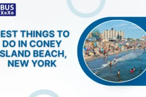 Best Things To Do in Coney Island Beach, New York