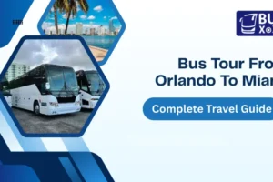 Bus Tour From Orlando To Miami: Complete Travel Guide