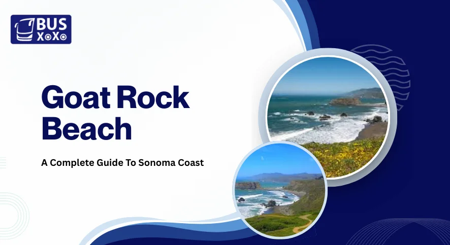 Goat Rock Beach A Complete Guide To Sonoma Coast