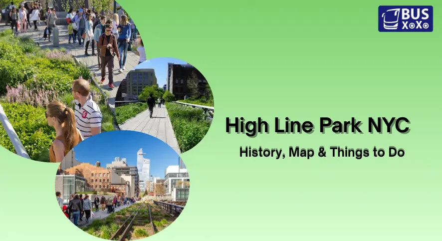 High Line Park NYC: History, Map & Things to Do