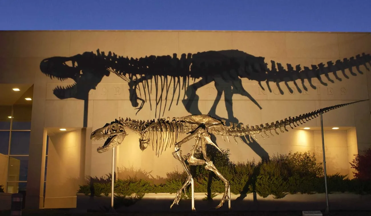 Learn About The Bozeman At Museums