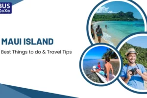 Maui Island Best Things to do & Travel Tips
