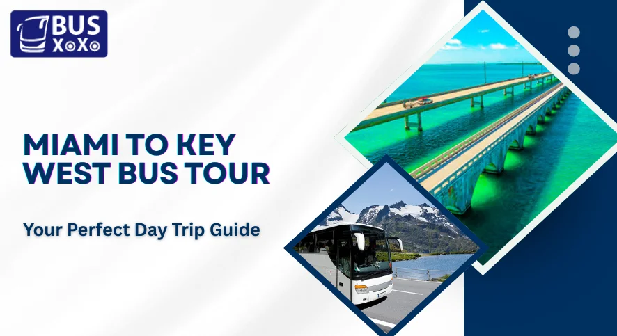 Miami to Key West Bus Tour Your Perfect Day Trip Guide
