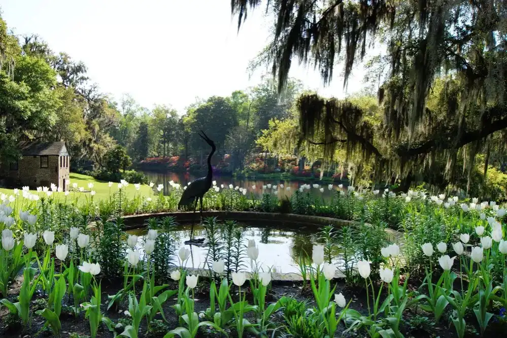 Charleston Middleton Place 