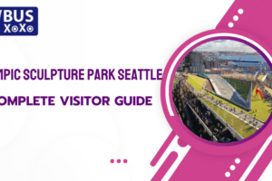 Olympic Sculpture Park Seattle: A Complete Visitor Guide