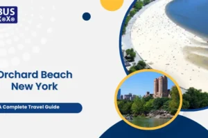 Orchard Beach New York: A Complete Travel Guide