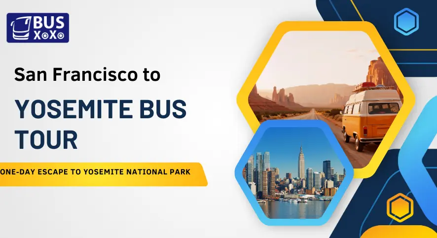 San Francisco to Yosemite Bus Tour