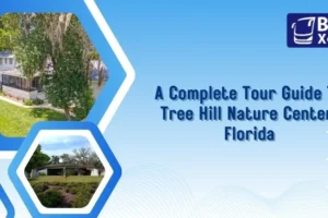 A Complete Tour Guide To Tree Hill Nature Center, Florida