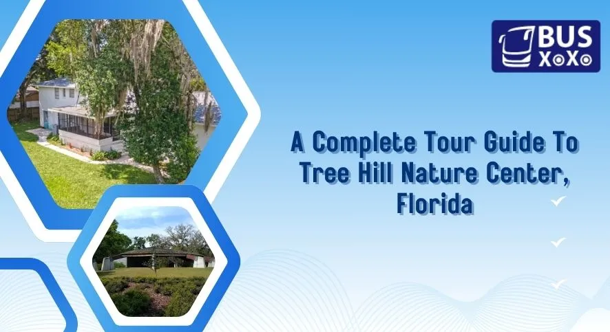 A Complete Tour Guide To Tree Hill Nature Center, Florida