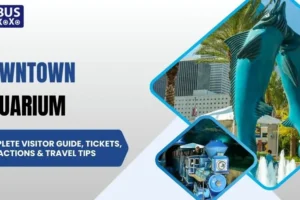 Downtown Aquarium Complete Visitor Guide, Tickets, Attractions & Travel Tips