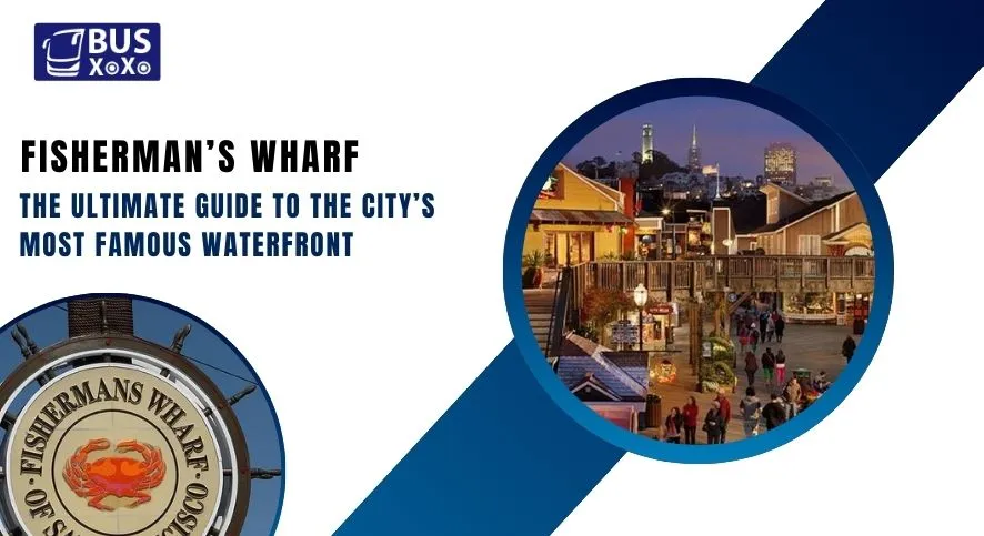 Fisherman’s Wharf The Ultimate Guide to the City’s Most Famous Waterfront