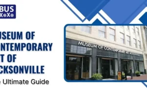 Museum Of Contemporary Art Of Jacksonville: The Ultimate Guide
