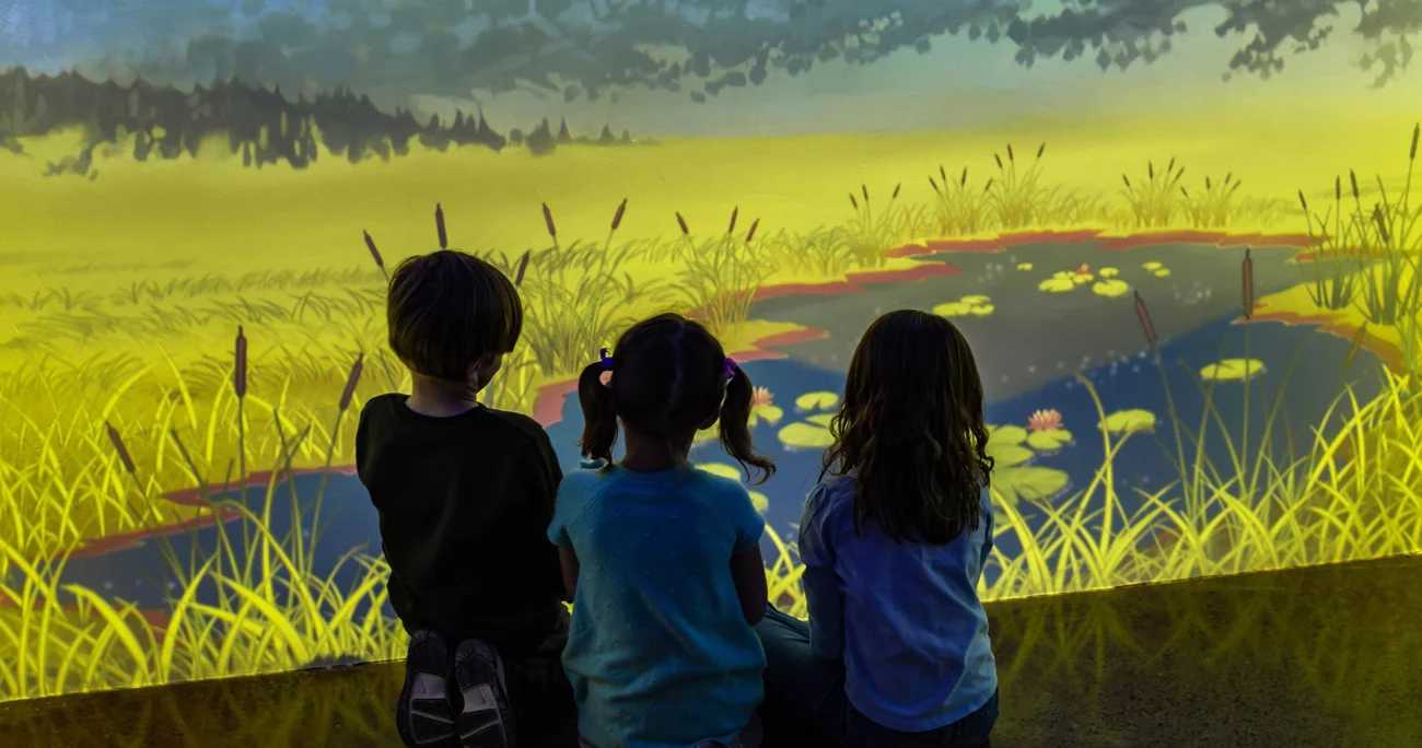 Nature Museum, Tree Hill Nature Center