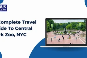 A Complete Travel Guide To Central Park Zoo, NYC