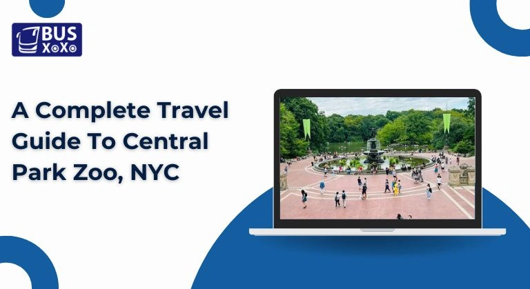 A Complete Travel Guide To Central Park Zoo, NYC