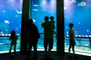 Baltimore National Aquarium