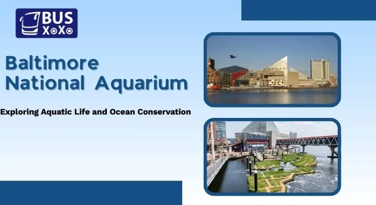 Baltimore National Aquarium: Exploring Aquatic Life and Ocean Conservation