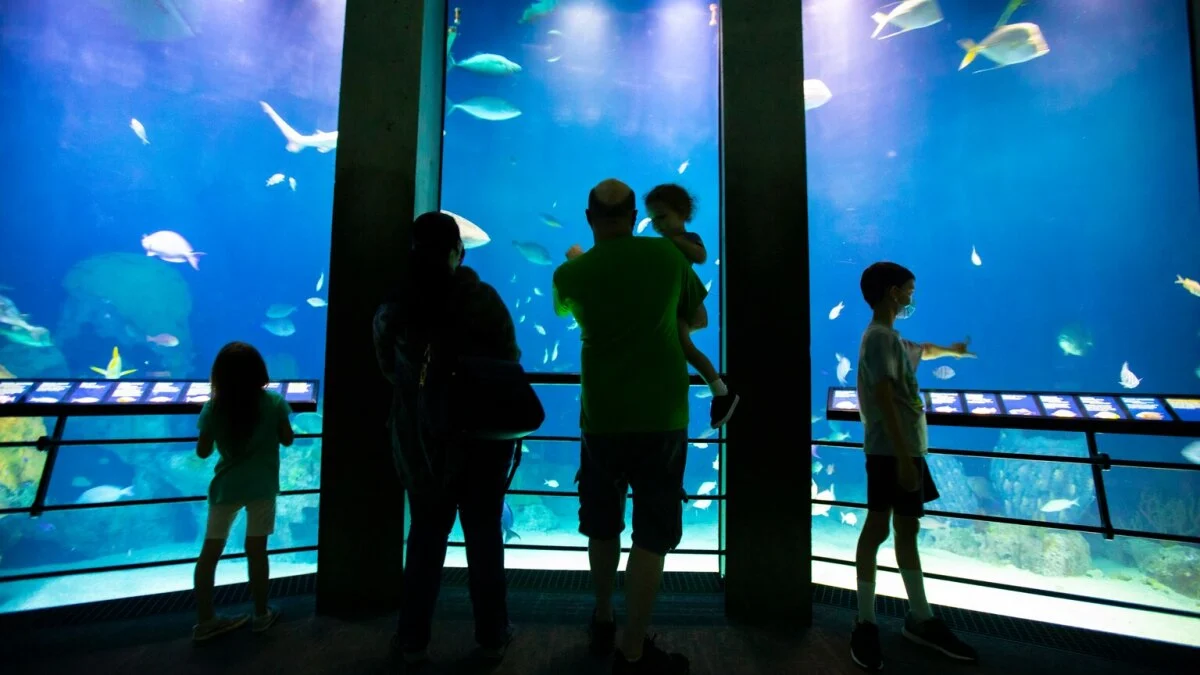 Baltimore National Aquarium